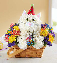 Purrfect Party Cat Flower Power, Florist Davenport FL